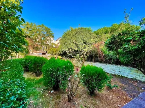 تصویر 21 - ویلا باغ شکری  در  سرخ رود