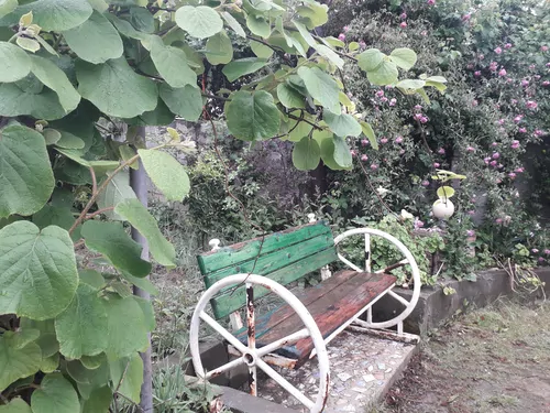 تصویر 11 - ویلا علیپور در  شیرگاه