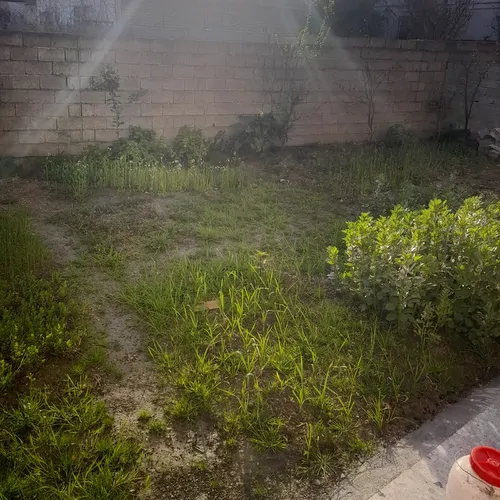 تصویر 17 - خانه مبله باران در  آستانه اشرفیه