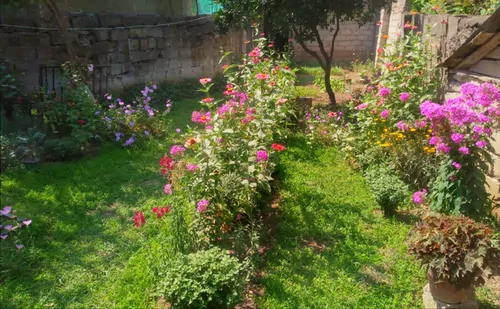 تصویر 2 - ویلا رزمجوی در ماسال