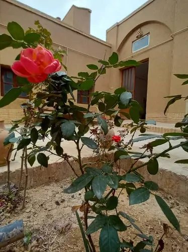 تصویر 3 - اقامتگاه بوم‌گردی خانه سرو در اردکان