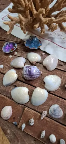 تصویر 5 - سوییت سوییت غروب هرمز در  هرمز