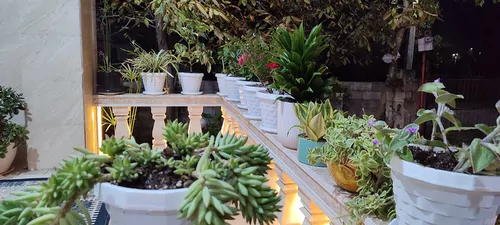 تصویر 9 - ویلا باغ زندگی در  اسالم