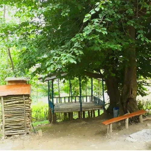 تصویر 9 - ویلا جنگلی فانوس در  رودبار
