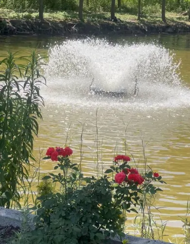 تصویر 16 - کلبه كومه مرداب  در  انزلی