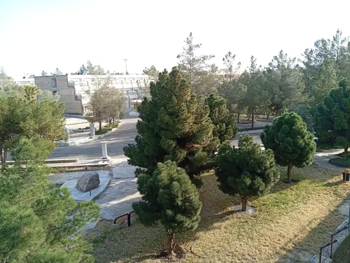 تصویر 11 - هتل آپارتمان فرهیختگان (106)  در  زاهدان