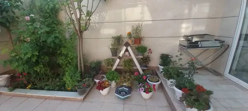 تصویر 15 - خانه نارنج در  اصفهان
