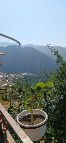 تصویر 4 - روستایی و عشایری سوئیت روستای هیر الموت غربی در الموت