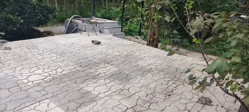 تصویر 13 - ویلا ریکا جان در رودسر