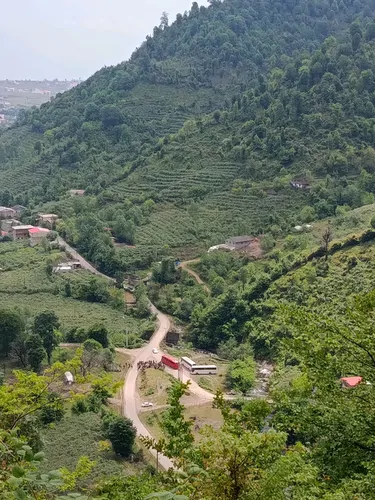تصویر 27 - ویلا صورتی جنگلی در آستارا