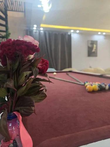 تصویر 14 - ویلا استخر آبگرم بهشت  در  شیراز