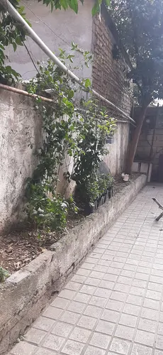 تصویر 2 - خانه خانه آقای حسینی  در قائمشهر