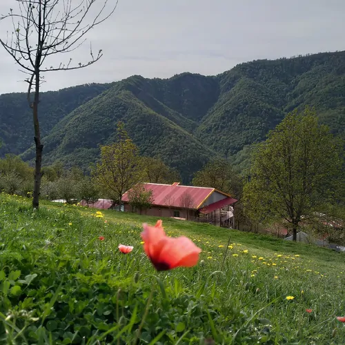 تصویر 20 - خانه ویلایی کوهسار  در  سوباتان