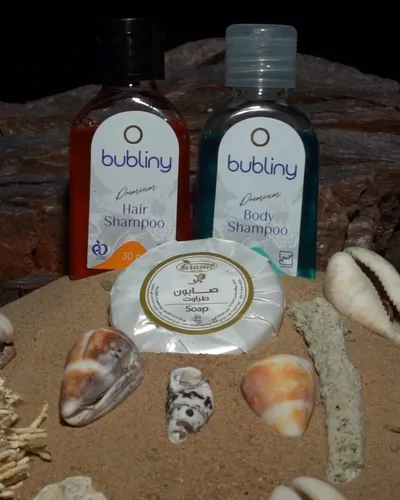 تصویر 10 - آپارتمان مبله سام و زال (تیپ قرمز 303) در قشم