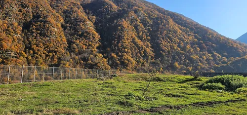 تصویر 15 - ویلا جنگلی لزیر در  چمستان