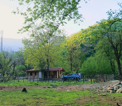 تصویر 11 - کلبه جنگلی توسکا در ماسال