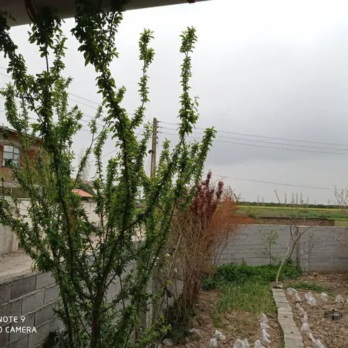 تصویر 2 - ویلا ویلای روستایی برکه  در ساری