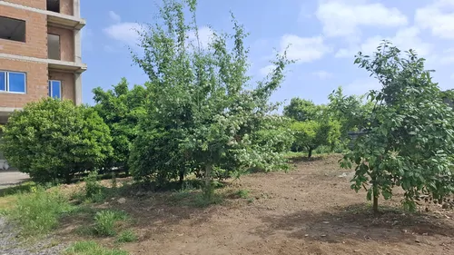 تصویر 20 - ویلا روستایی نقلی دریا در فرح آباد