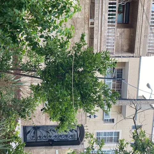 تصویر 13 - آپارتمان مبله دلگشا در  شیراز